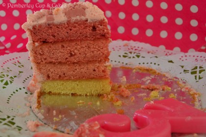 Raspberry Ombre Layer Cake {Tarta Degradé de Frambuesa}