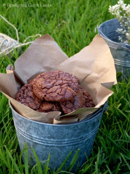 Double Chocolate Crackled Cookies {Galletas de Chocolate}